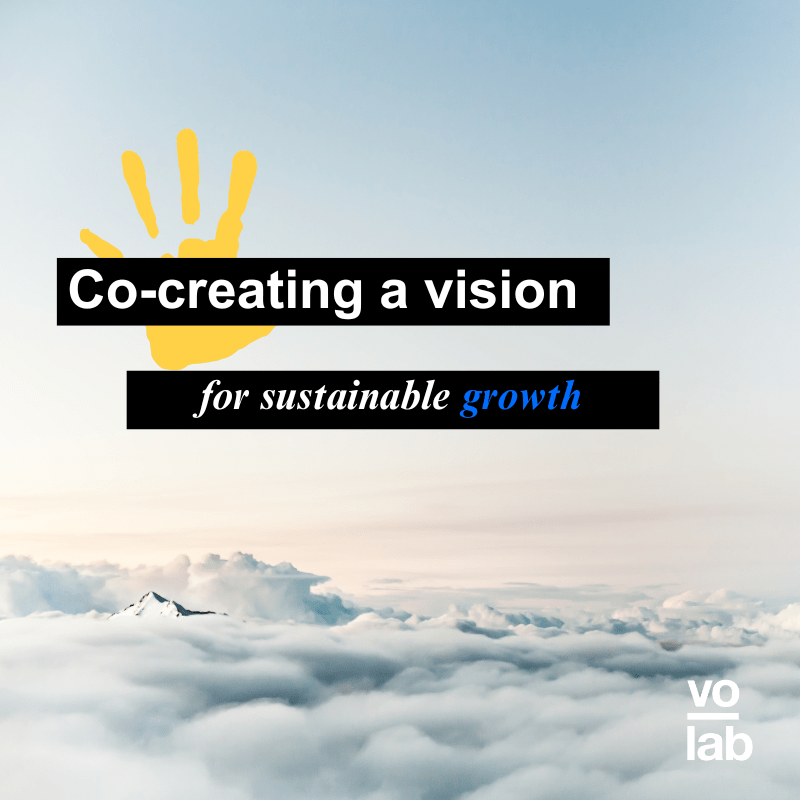 #B3 Co-Creating a Vision for Sustainable Growth