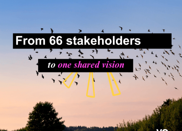 #D2 From 66 stakeholders to one shared vision